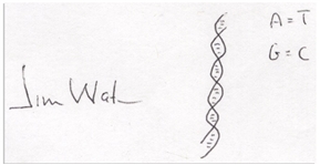 James Watson Signed Drawing of the DNA Double Helix